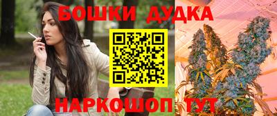 гидра Малгобек
