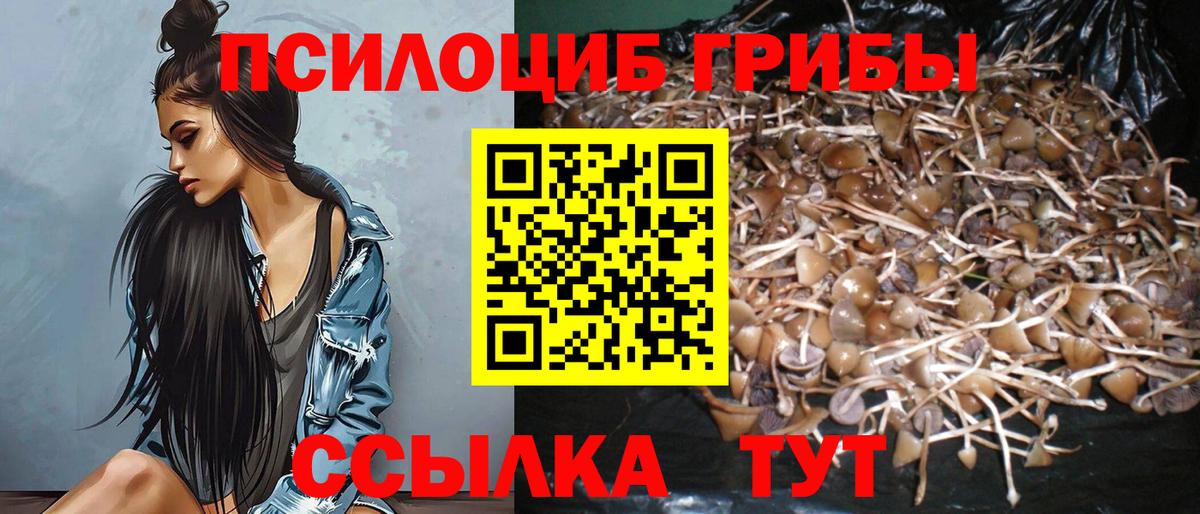 Вичуга  магазин  наркотиков  Вход с VPN  Псилоцибиновые грибы мухоморы 