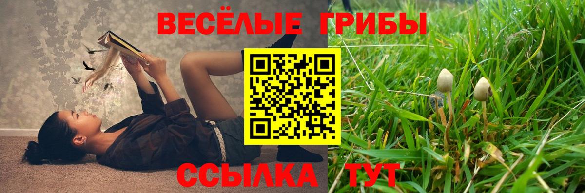 Галлюциногенные грибы Magic Shrooms Вичуга